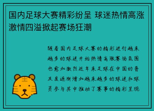 国内足球大赛精彩纷呈 球迷热情高涨激情四溢掀起赛场狂潮